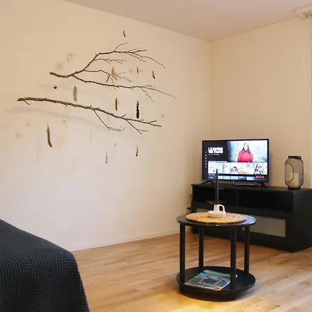 Casa Schilling 2,5 In St Gallen, Modern, Quiet And Close To The Center St. Gallen