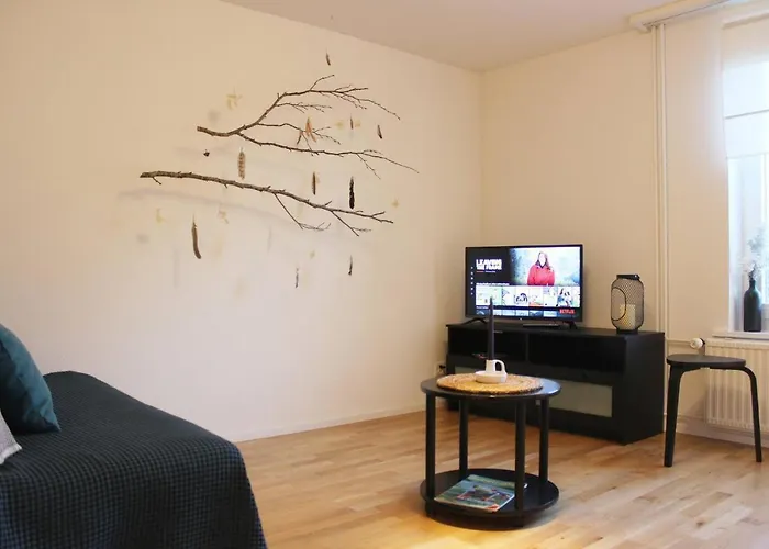 Casa Schilling 2,5 In St Gallen, Modern, Quiet And Close To The Center St. Gallen