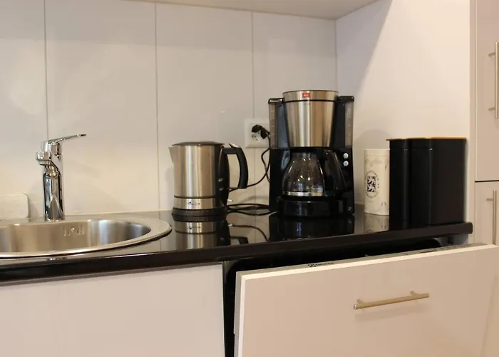 Apartment Casa Schilling 2,5 In St Gallen, Modern, Quiet And Close To The Center St. Gallen