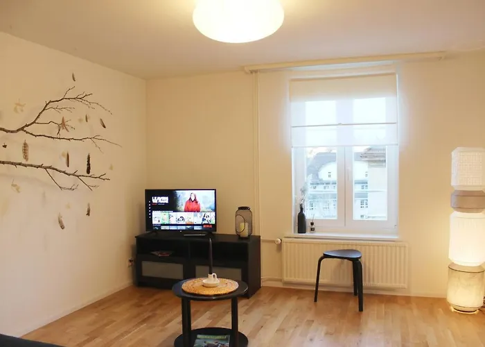 Casa Schilling 2,5 In St Gallen, Modern, Quiet And Close To The Center *